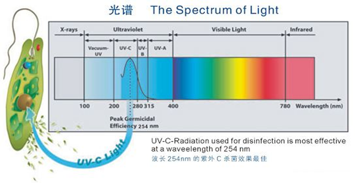 科普！紫外線殺菌燈對人體影響及正確使用方法